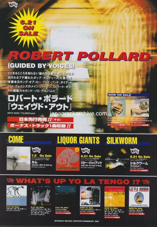 The Robert Pollard Collection