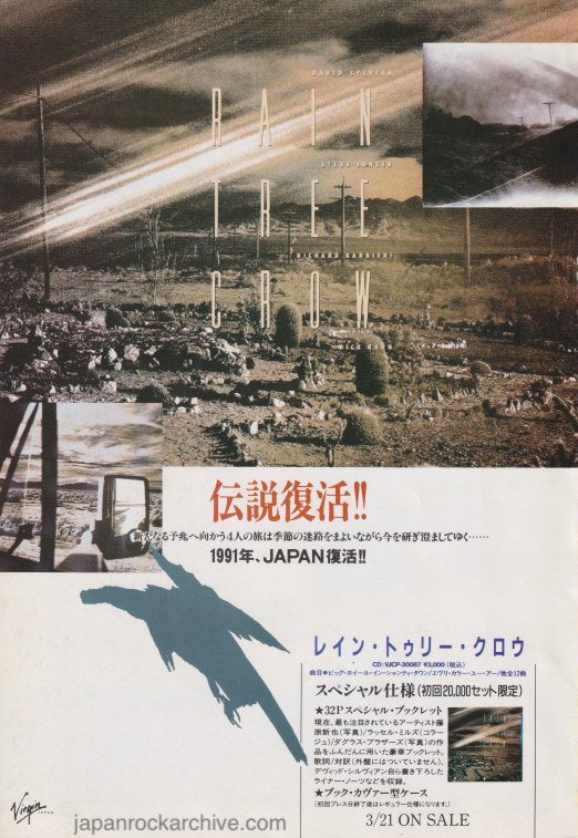 The Rain Tree Crow Collection