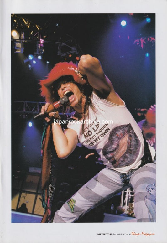 Aerosmith 2003/11 Japanese music press cutting clipping - photo pinup poster - steven tyler
