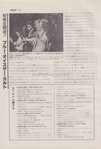 Blue Oyster Cult 1979/05 Japanese music press cutting clipping - article