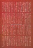 Curve - Toni Halliday 1994/01 Japanese music press cutting clipping - article