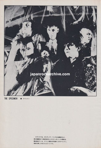 Specimen 1983/10 Japanese music press cutting clipping - photo pinup poster
