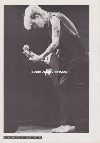 Stray Cats 1981/07 Japanese music press cutting clipping - photo pinup poster