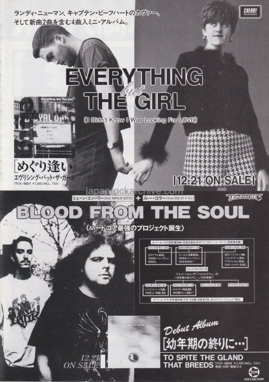Everything But The Girl 1994/02 I Didn't Know I Was Looking For love Japan album promo ad